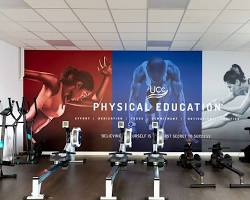 Image of Gym wall mural with community artwork