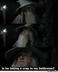Confused Gandalf Memes. Best Collection of Funny Confused Gandalf ... via Relatably.com