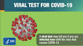 covid-19 from www.cdc.gov