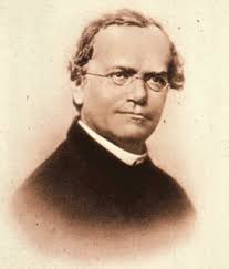 Gregor Mendel - Gregor_Mendel-4