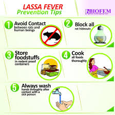 Image result for images of lassa fever