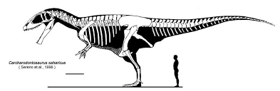 O maior dinossauro carnívoro de sempre Images?q=tbn:ANd9GcSdk1Vkopdy1VeRpWQkrPmwZ-hH1RRTGKAS1NkdxjONME0tym4v