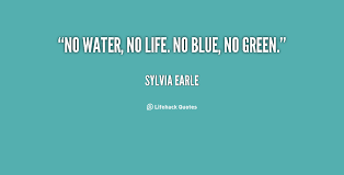 No water, no life. No blue, no green. - Sylvia Earle at Lifehack ... via Relatably.com