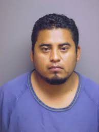 Detectives from the Florida departments of financial services and insurance fraud booked Bradenton resident Miguel Damian-Jimenez, 31, into the Manatee ... - police-jimenez