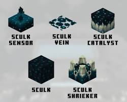 Sculk blocks in Minecraft