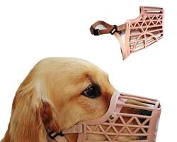 Basket muzzle for dogs