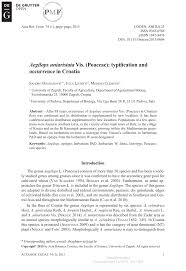 (PDF) Aegilops uniaristata Vis. (Poaceae): Typification and ...