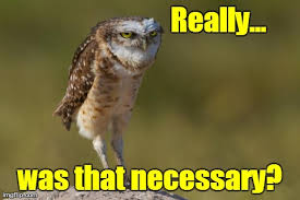 Image tagged in burrowing owl,funny,owls - Imgflip via Relatably.com