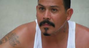 He conforms well to this type of character as shown in his portrayal of El Coyote in the TV series Weeds (2008), and the role of Marcus Alvarez, ... - 550x298_Emilio-Rivera-has-become-typecast-as-the-bad-boy-1225