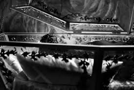 Image result for blancanieves 2012