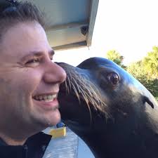 Gulf World Sea Lion Kiss. Smooch! - Gulf-World-Sea-Lion-Kiss