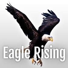 Image result for eagle
