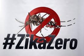 Resultado de imagem para zika