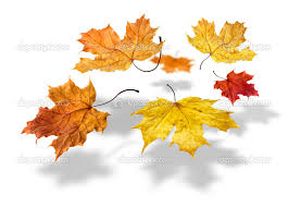 Resultado de imagen de hojas de otoño volando