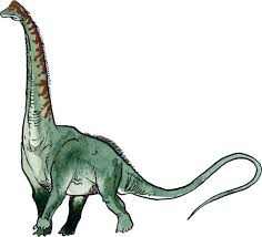 Image result for sauroposeidon