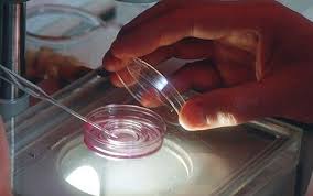 Image result for new fertility treatments