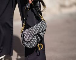 صورة Dior saddle bag