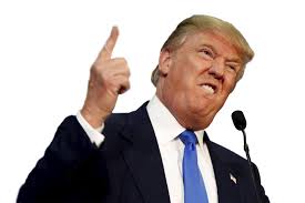 Image result for pictures of trump