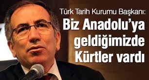 Türk Tarih Kurumu Başkanı: Biz geldiğimizde Kürtler vardı - turk-tarih-kurumu-baskani-biz-geldigimizde-kurtler-vardi-123018