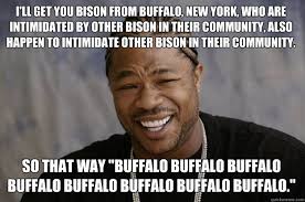 i&#39;LL GET YOU Bison from Buffalo, New York, who are intimidated by ... via Relatably.com