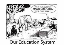 Our Education System | Funny Pictures, Quotes, Pics, Photos ... via Relatably.com