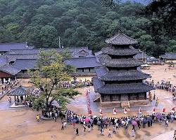 충북 보은군 여행지 명소 속리산 법주사 정이품송, AI로 생성