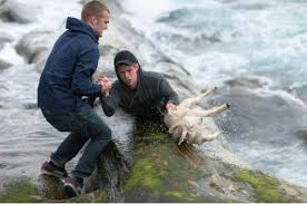 Image result for pictures of people rescuing people