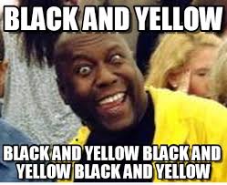 Rawr, Black And Yellow on Memegen via Relatably.com