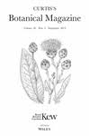 915. HIERACIUM TOMENTOSUM - Hind - 2019 - Curtis's Botanical ...