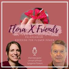 Pelargonium - Breeding for Flower Power! • Flora & Friends podcast