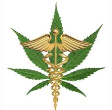 Image result for medical marijuana