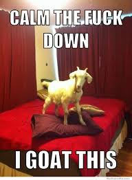 Goats are awesome - share your love of goats! - Page 2 - The Happy ... via Relatably.com