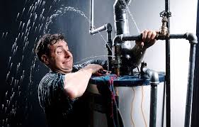 Image result for plumber