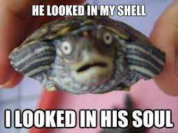 Starry eyed Turtle memes | quickmeme via Relatably.com
