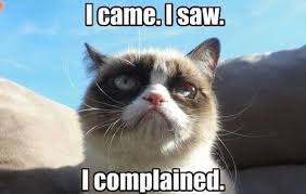 Angry Cat Meme | Memes | Pinterest | Cat Memes, Meme and Grumpy Cat via Relatably.com