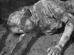 Image result for images of the mummy's curse