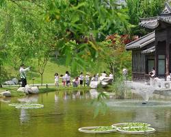 수원 영통 효원공원 월화원, AI로 생성