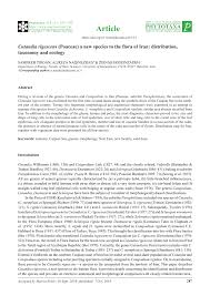 (PDF) Cutandia rigescens (Poaceae) a new species to the flora of ...