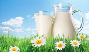 Imagini pentru lapte