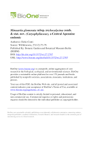 (PDF) Minuartia glomerata subsp. trichocalycina comb. & stat. nov ...