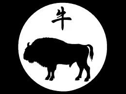 Resultado de imagen para bufalo del horóscopo chino