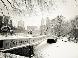 Image result for snow in the city