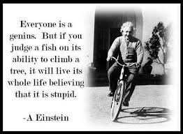 Albert Einstein Quotes: Everybody is a genius… | Randumbuzz.com via Relatably.com