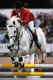 Image result for horse show jumping