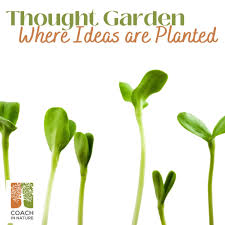 Thought Garden - Personal Growth In Nature