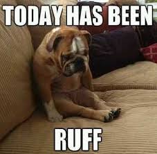 Today has been ruff funny memes animals dog puppy meme lol cute ... via Relatably.com