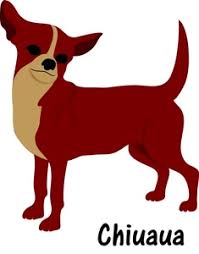 Image result for free clipart chihuahua dog