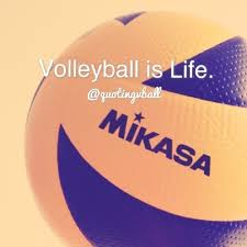 Volleyball Quotes (@QuotingVball) | Twitter via Relatably.com