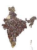 இந்தியாவின் மக்கள்தொகை 121 கோடியாக அதிகரித்துள்ளது