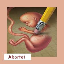 Image result for abortet